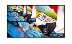 1774636952791.png